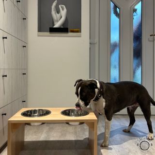 Stojan na misky pro velké psy. 🐕 Díky správné výšce nemusí váš mazlíček ohýbat záda, což podporuje jeho zdraví a pohodlí...